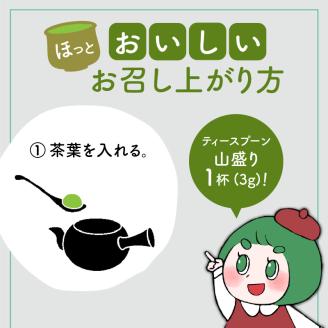 【5営業日以内に発送】日本茶専門店【貴茶－TAKACHA】煎茶［禅］ リーフ 100g　K068-018