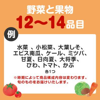 【JA直売所セレクト】旬鮮野菜・果物セット（12～14品目）　K072-001