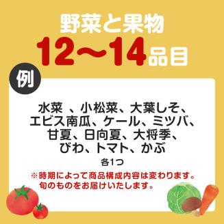 【JA直売所セレクト】12ヵ月定期便！旬鮮野菜・果物セット（12～14品目）　K072-T02