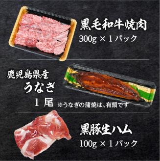 黒豚・黒毛和牛・うなぎ　鹿児島味の極み便A（焼肉）　K086-013