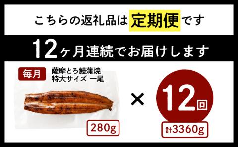 鹿児島市 【全12回定期便】薩摩大とろ鰻蒲焼特大サイズ一尾　K190-T04