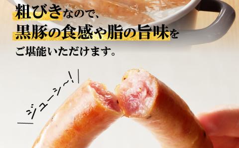 鹿児島市 至高の鹿児島黒豚ウインナー4P　K161-007