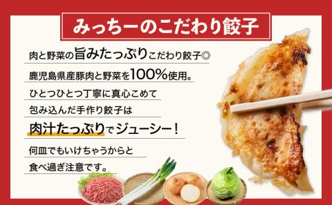 【5営業日以内に発送】鹿児島人気餃子店のお得な餃子食べ比べセット　K118-001