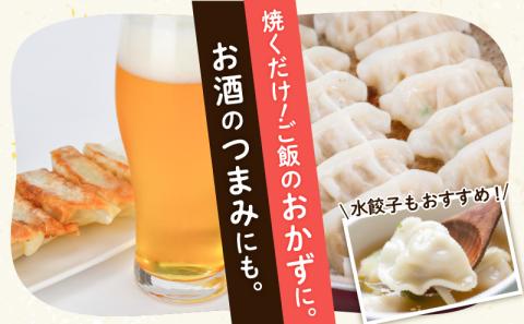 【純金箔付き】元気ももたろう餃子　96個　K147-001