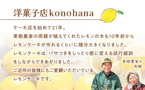 桜島檸檬のレモンケーキ　K236-001