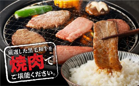 【鹿児島黒毛和牛A4～A5】焼肉特上セット（特上カルビ/特上ロース）　K189-007