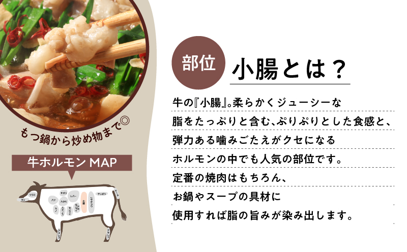 鹿児島市 ワンランク上のもつ鍋に！小腸1.2kg（ホルモン）　K002-004