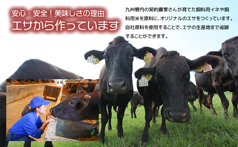 【人気部位ミスジ！】A5等級黒毛和牛ミスジステーキ 400g　K002-045