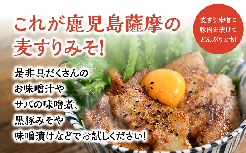 【5営業日以内に発送】ヒシク藤安醸造 麦すりみそ 1kg×3袋　K026-018