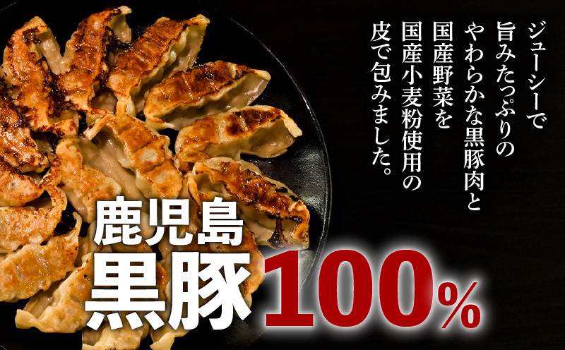 【第1回 日本全国！ご当地冷凍食品大賞 2024-2025 優秀賞受賞！】鹿児島黒豚100%餃子 32個入り　K027-007