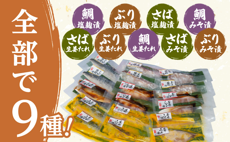 【海幸】漬け魚 9種 詰め合わせ（FK-02）　K065-005