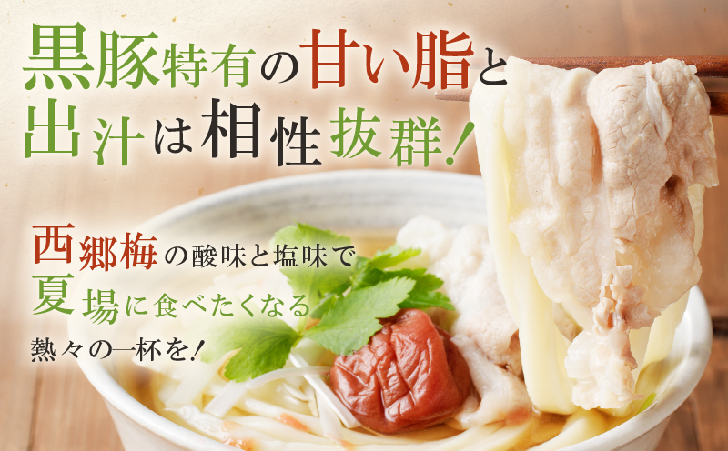 麦のはなのさつま西郷梅黒豚南蛮うどんセット　K071-006