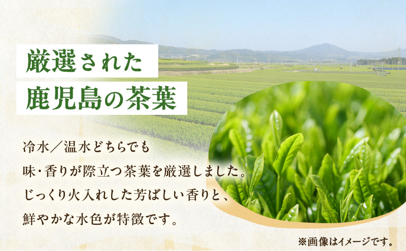 【5営業日以内に発送】【期間限定】水出し煎茶 緑茶ティーバッグ 6袋　K111-039_03