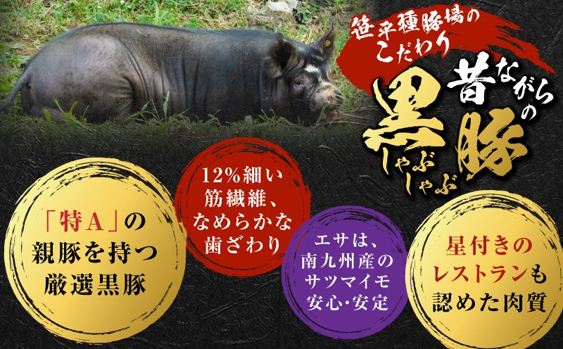 昔ながらの黒豚しゃぶしゃぶセット＜バラ、ロース、肩ロース＞6～8人前　K125-004