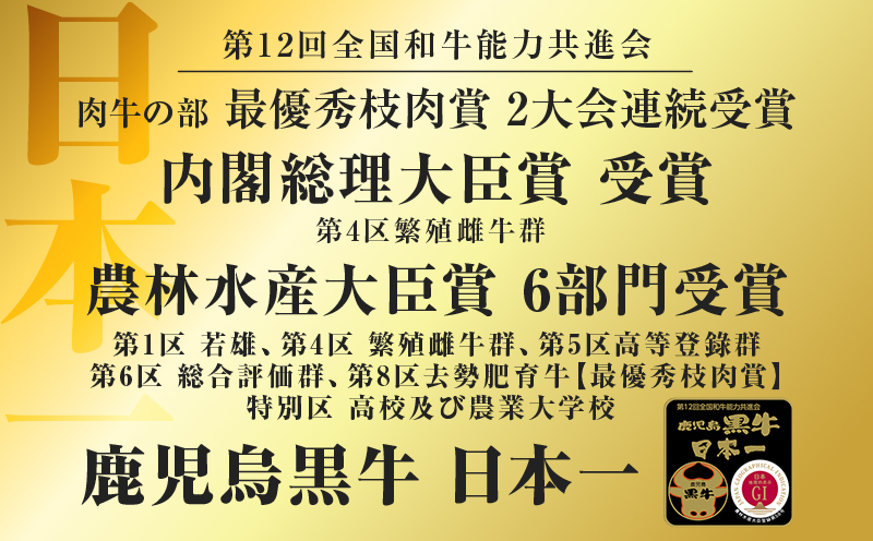 （KH-201）鹿児島黒牛リブローススライスセット（計700g）　K127-009_01