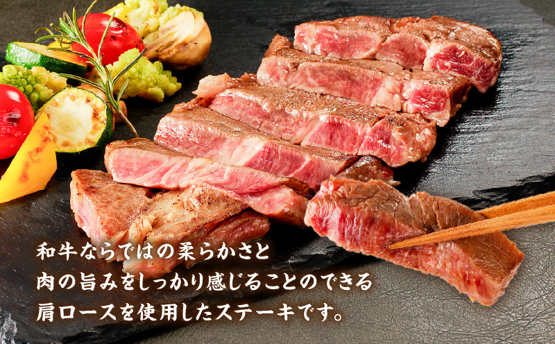 鹿児島県産 黒毛和牛ステーキ 600g　K151-010_01