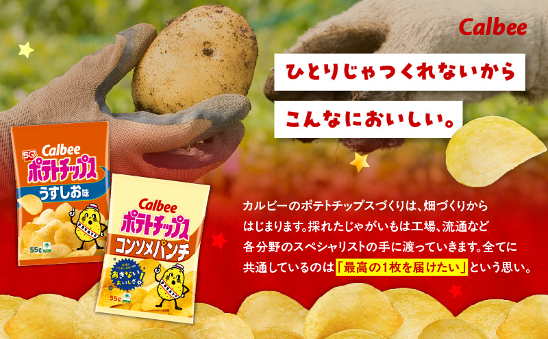 カルビー ポテトチップス 2種食べ比べセット【うすしお×コンソメパンチ】計32袋　K194-002_09