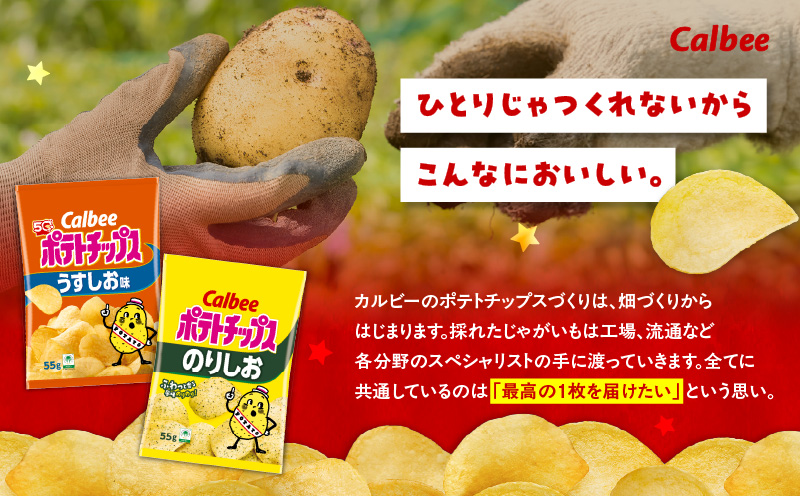 カルビー ポテトチップス 2種食べ比べセット【うすしお×のりしお】計32袋　K194-002_10
