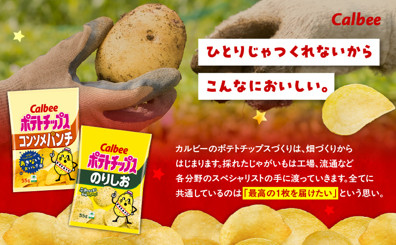 カルビー ポテトチップス 2種食べ比べセット【コンソメパンチ×のりしお】計32袋　K194-002_12