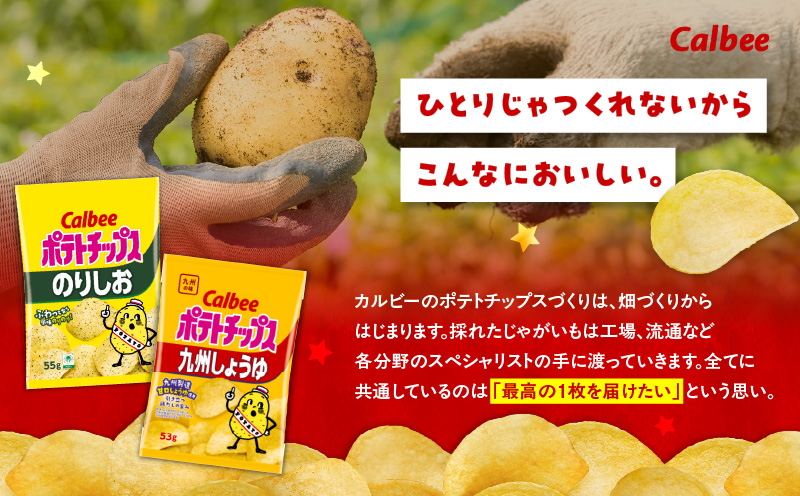 カルビー ポテトチップス 2種食べ比べセット【のりしお×九州しょうゆ】計28袋　K194-002_14