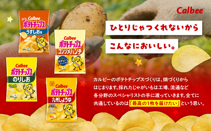 【4ヶ月定期便】カルビー ポテトチップス 食べ比べ4種【うすしお、コンソメパンチ、のりしお、九州しょうゆ】　K194-T01