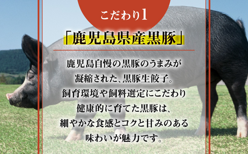 鹿児島黒豚使用の黒豚餃子 36個　K202-001_01