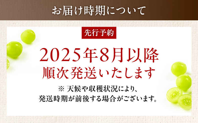 【2025年先行予約】【桜島産】シャインマスカット 2房　K261-001_02