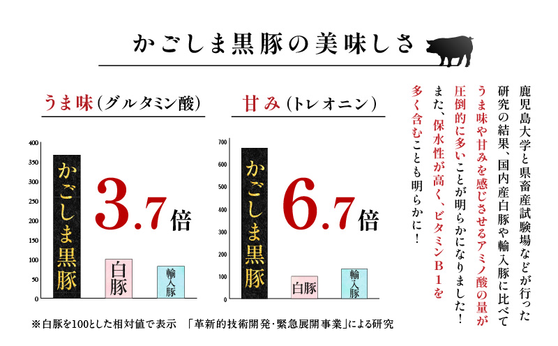 【10営業日以内に発送】鹿児島黒豚・熟成魚節出汁しゃぶセット　K265-002