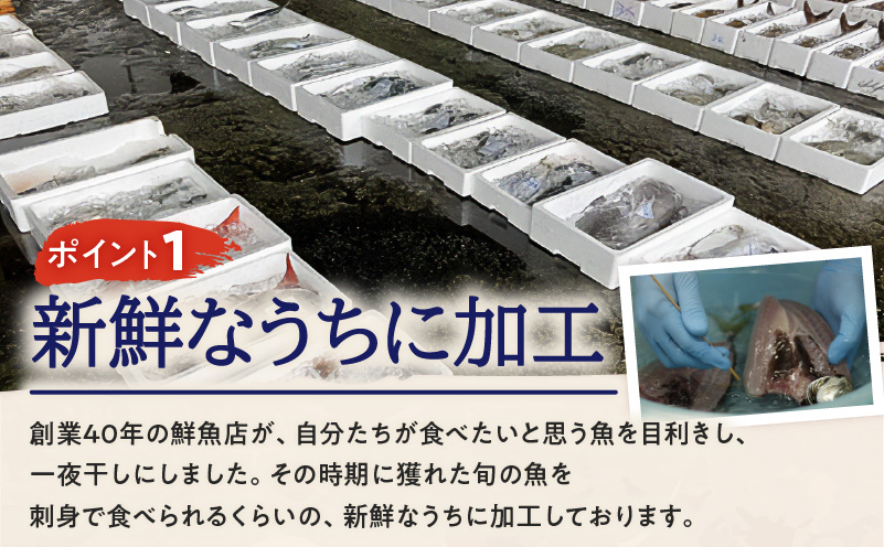 季節の一夜干し詰合せ（6種）　K294-001