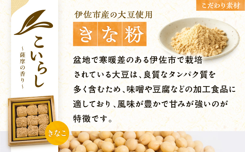 こいらし（きなこ）　K300-010_02