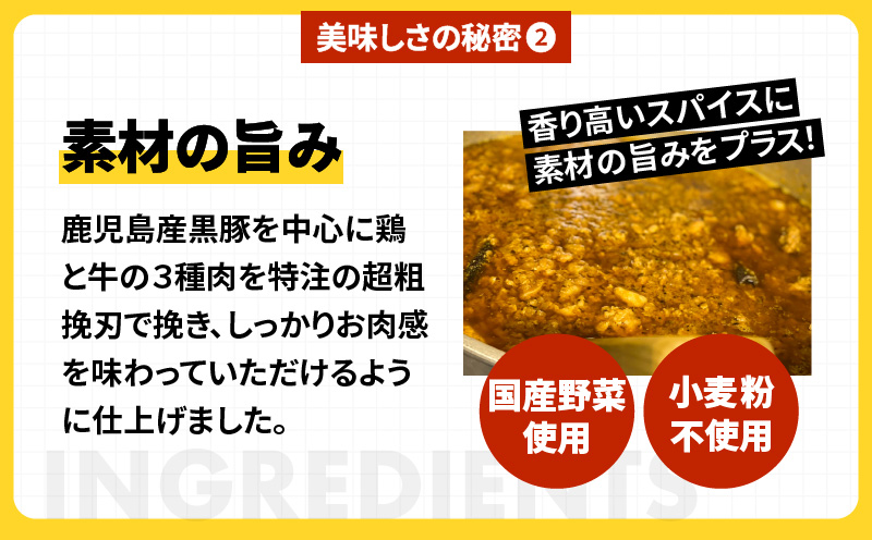 冷凍黒豚キーマカレー6食セット K315-001: 鹿児島市ANAのふるさと納税