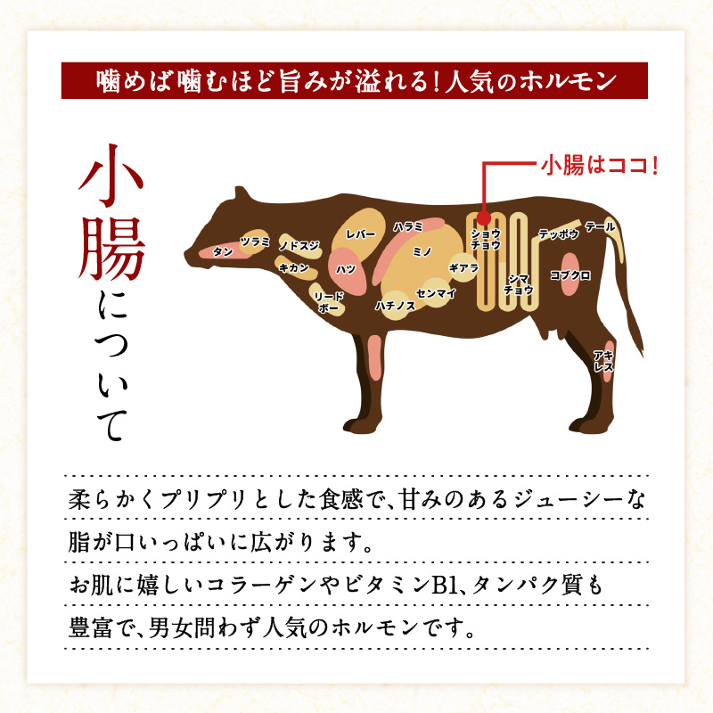 鹿児島県産黒毛和牛もつ鍋セット　K328-011