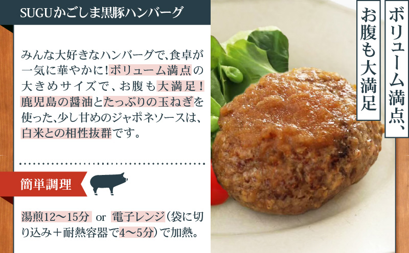 鹿児島の思い出の味 直行便　K342-001