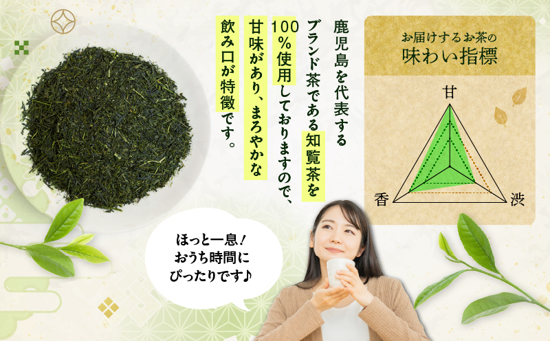 煎茶ティーバッグ 15個入り（3袋セット）　K346-005_02