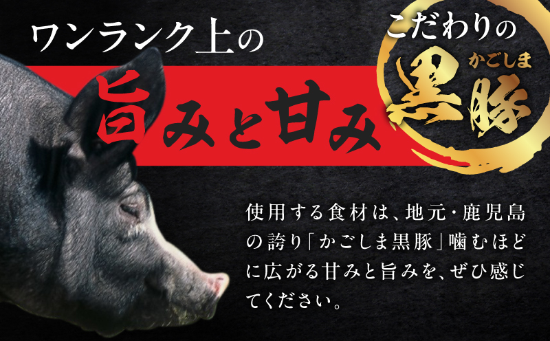 かごしま黒豚 ホルモンセット4人前 （2×2セット）　K378-001_02