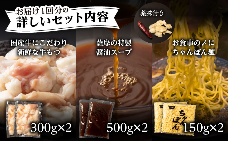 【4ヶ月定期便】寺師の国産牛もつ鍋セット　4～5人前　K005-T01