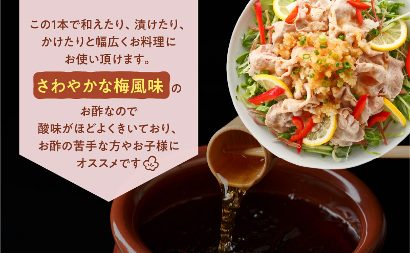 【5営業日以内に発送】ヒシク藤安醸造　万能酢　500ml×6本セット　K026-015