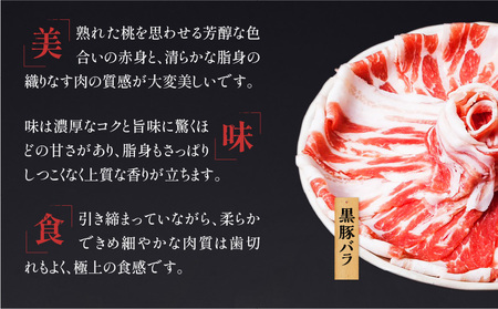【5営業日以内に発送】黒宝豚のどん薩摩の黄金だししゃぶしゃぶセット　2人前　K227-002_01