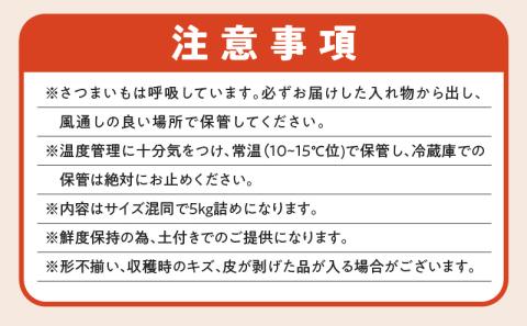 サイズバラバラ熟成べにはるか（生芋）土付き 5kg　K270-001