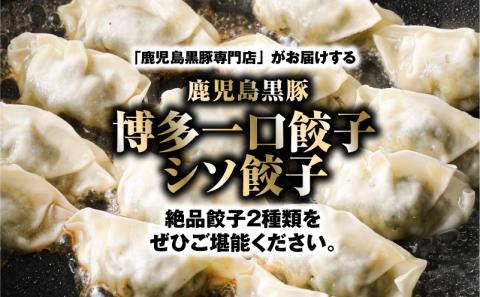 【14営業日以内に発送】鹿児島黒豚博多一口餃子・シソ餃子　150個　K025-004