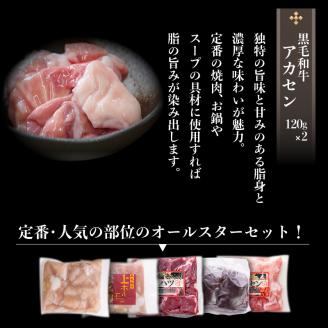 牛もつ（ホルモン）食べ尽くし！オールスターセット　K002-008