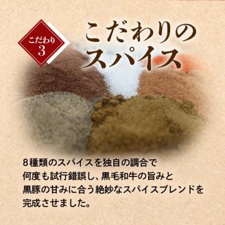 黒豚×黒牛ハンバーグ9個セット　K098-005