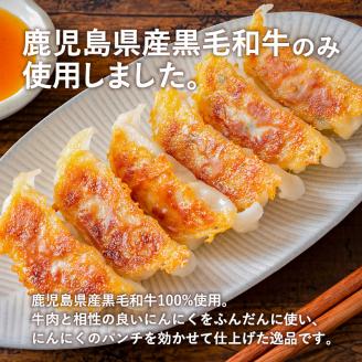 黒毛和牛100%牛餃子12個入り × 6Pセット　K098-006