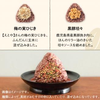 【7営業日以内に発送】冷凍玄米おむすび おまかせパック 10個入り　K182-001