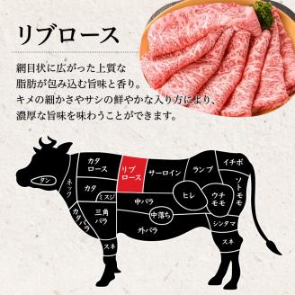 鹿児島県産黒毛和牛リブロース肉（5等級）　K171-002