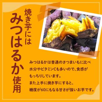 冷凍　熟成焼き芋みつはるか　K169-001