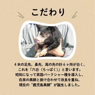 【10営業日以内に発送】鹿児島黒豚 味噌漬け　K091-003