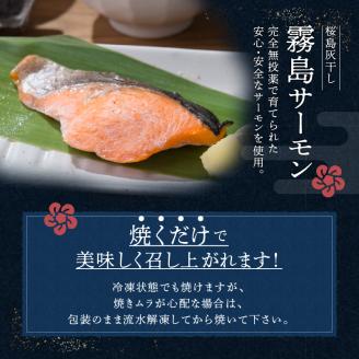 桜島灰干し　5種詰合せ【特選】　K178-002