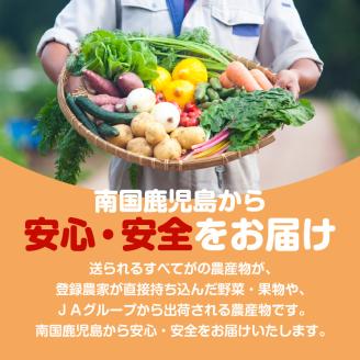 【JA直売所セレクト】旬鮮野菜・果物セット（12～14品目）　K072-001