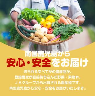 【JA直売所セレクト】12ヵ月定期便！旬鮮野菜・果物セット（12～14品目）　K072-T02